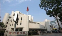 武汉图书馆爆料视频,一场震撼人心的文化盛宴