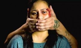 辛巴讽刺爆料者视频合集,视频合集揭露真相背后